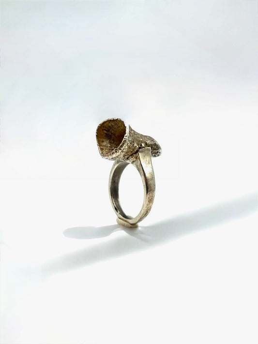 Ring with seed pod